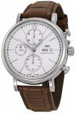 IWC Men's Quartz Watch with Stainless Steel Strap, Brown (Model: IW391007)